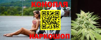 гидропоника Краснокаменск