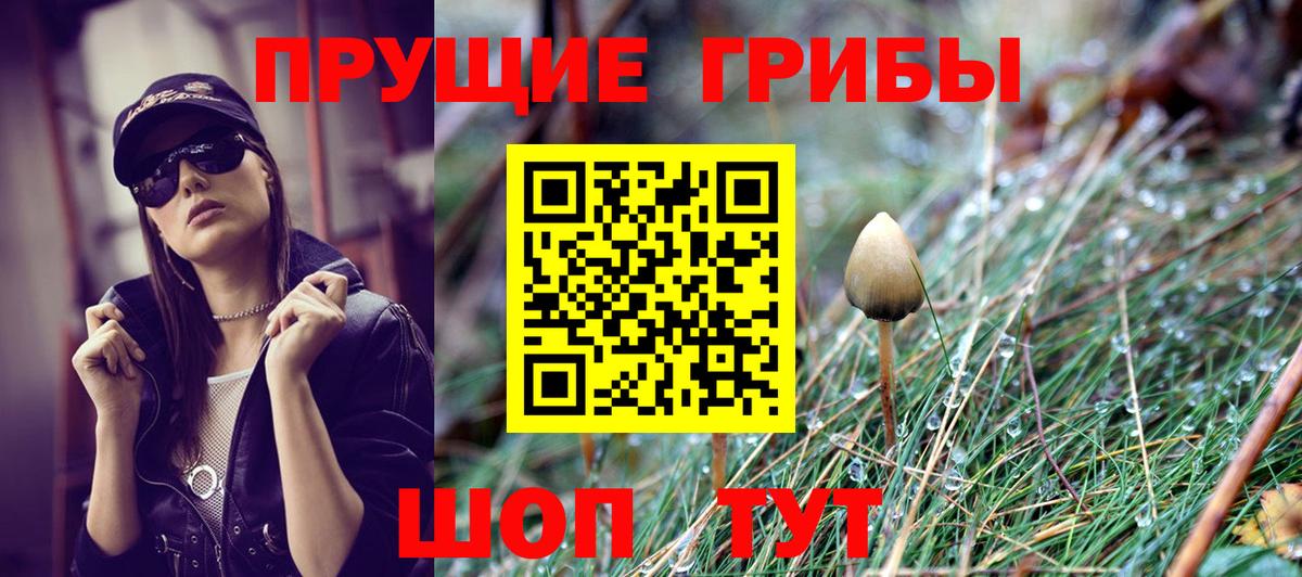 Псилоцибиновые грибы Cubensis  Вход с VPN  Галлюциногенные грибы прущие грибы  Калуга 